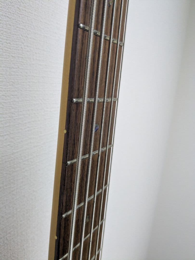 History　5弦ベース