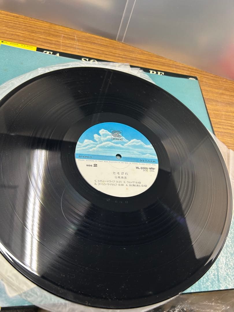 山根麻衣 / TA SO GA RE / 国内盤 LP レコード