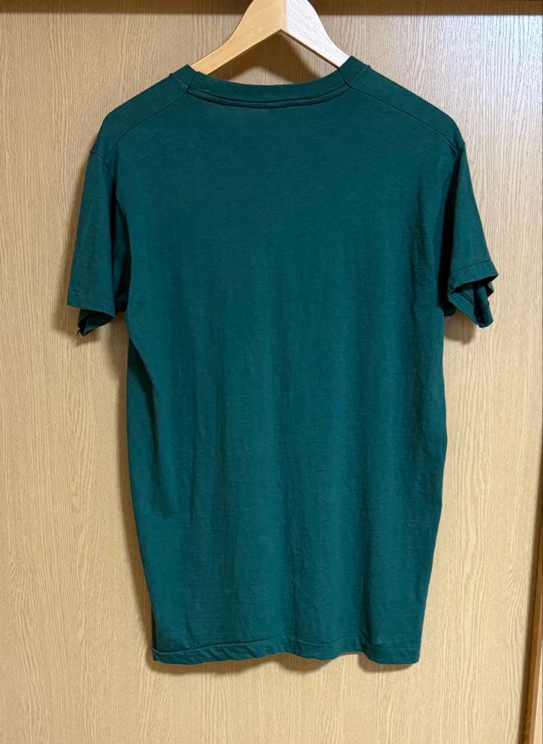 激レア！70s fruit of the room 角ポケ　Tシャツ　XL