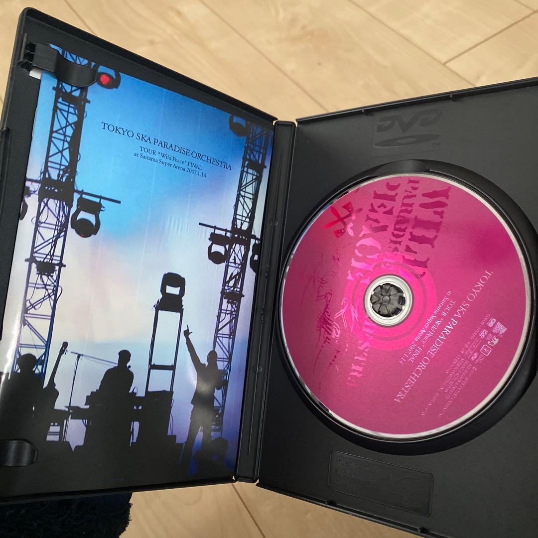 TOKYO SKA PARADISE ORCHESTRA DVD５本セット