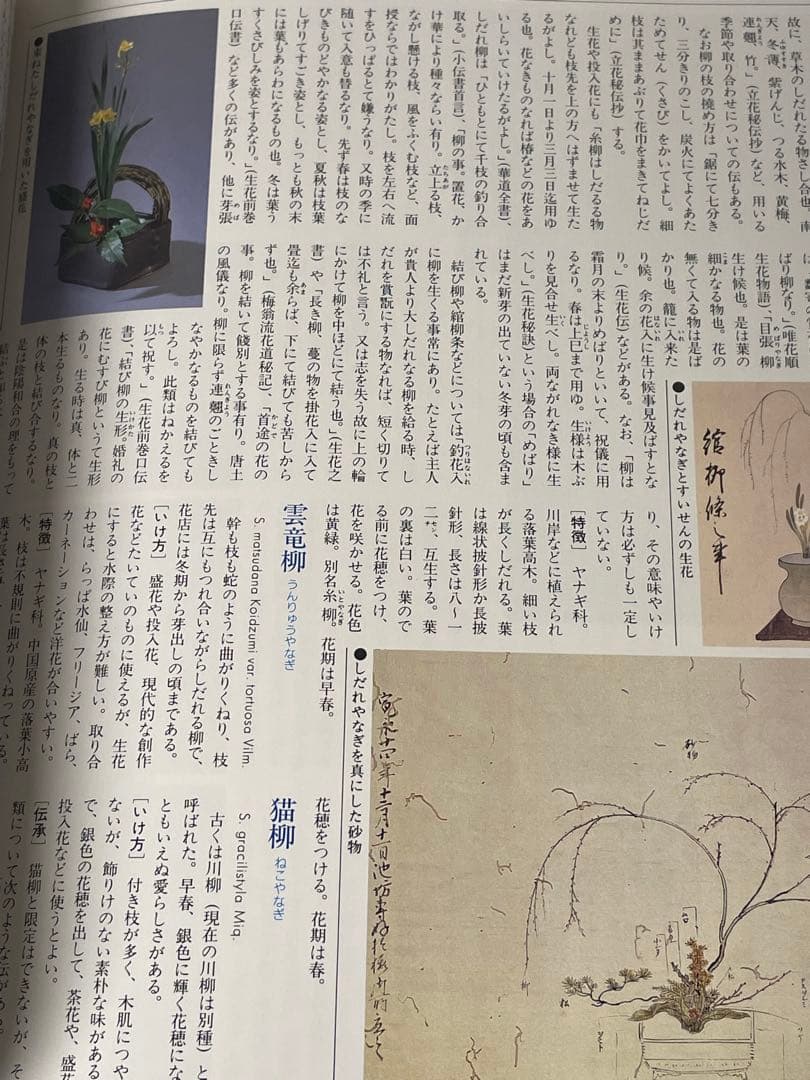 華道の先生のお薦め　四季別いけばな花材事典　講談社　華道茶道に必携