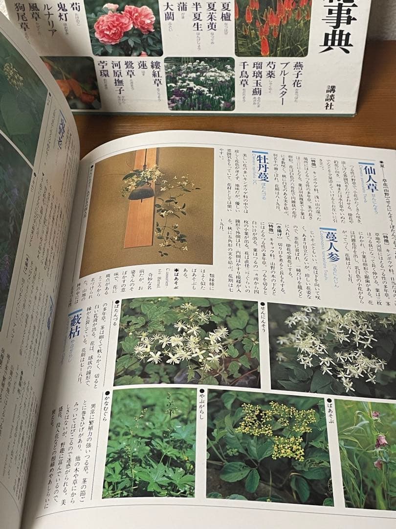華道の先生のお薦め　四季別いけばな花材事典　講談社　華道茶道に必携