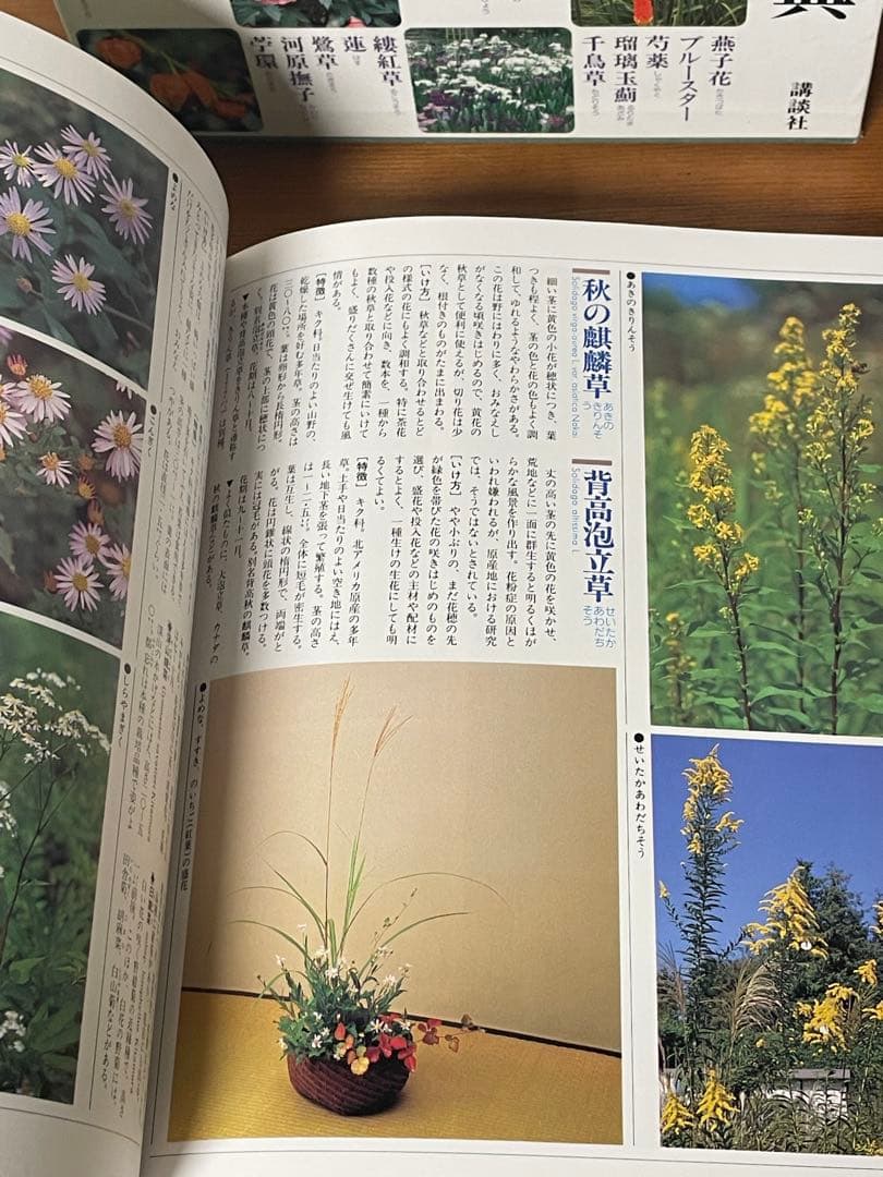 華道の先生のお薦め　四季別いけばな花材事典　講談社　華道茶道に必携