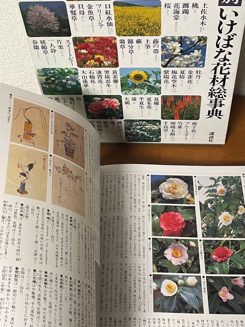 華道の先生のお薦め　四季別いけばな花材事典　講談社　華道茶道に必携