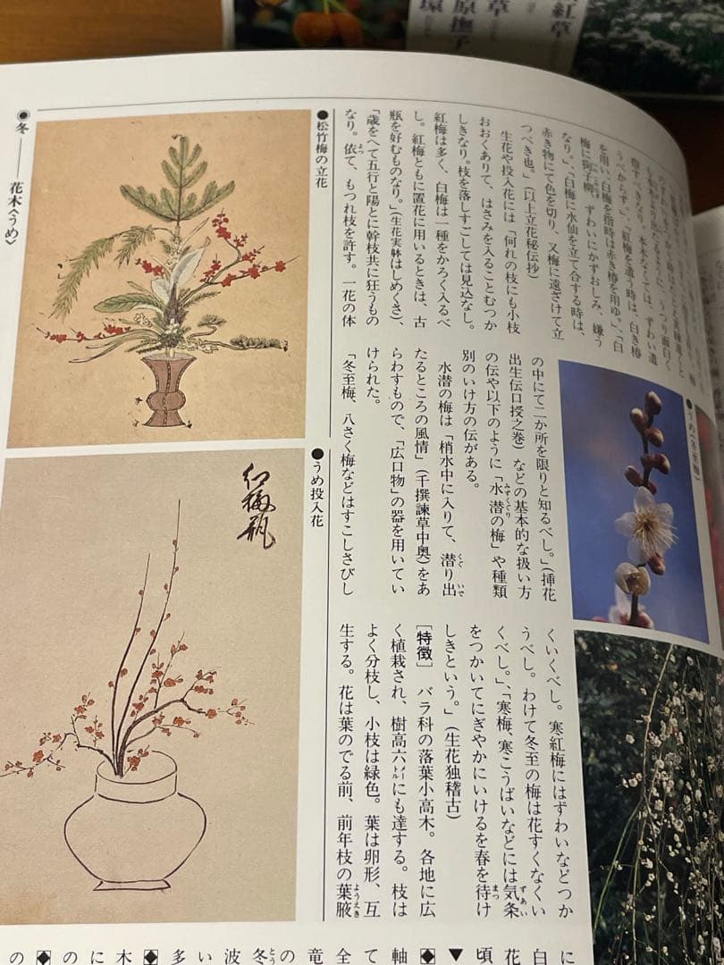 華道の先生のお薦め　四季別いけばな花材事典　講談社　華道茶道に必携