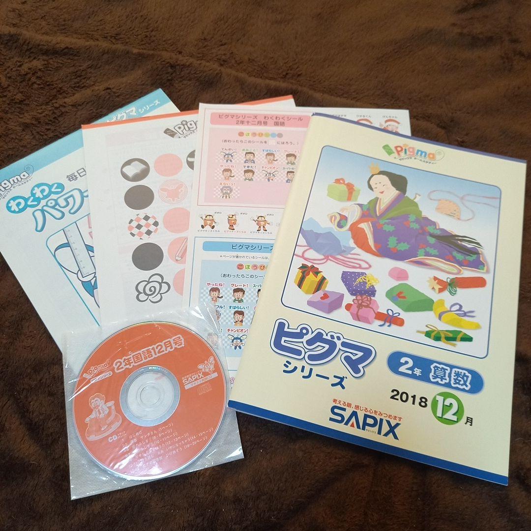 【たまさん専用】ピグマ シリーズ 2年生 9月~3月