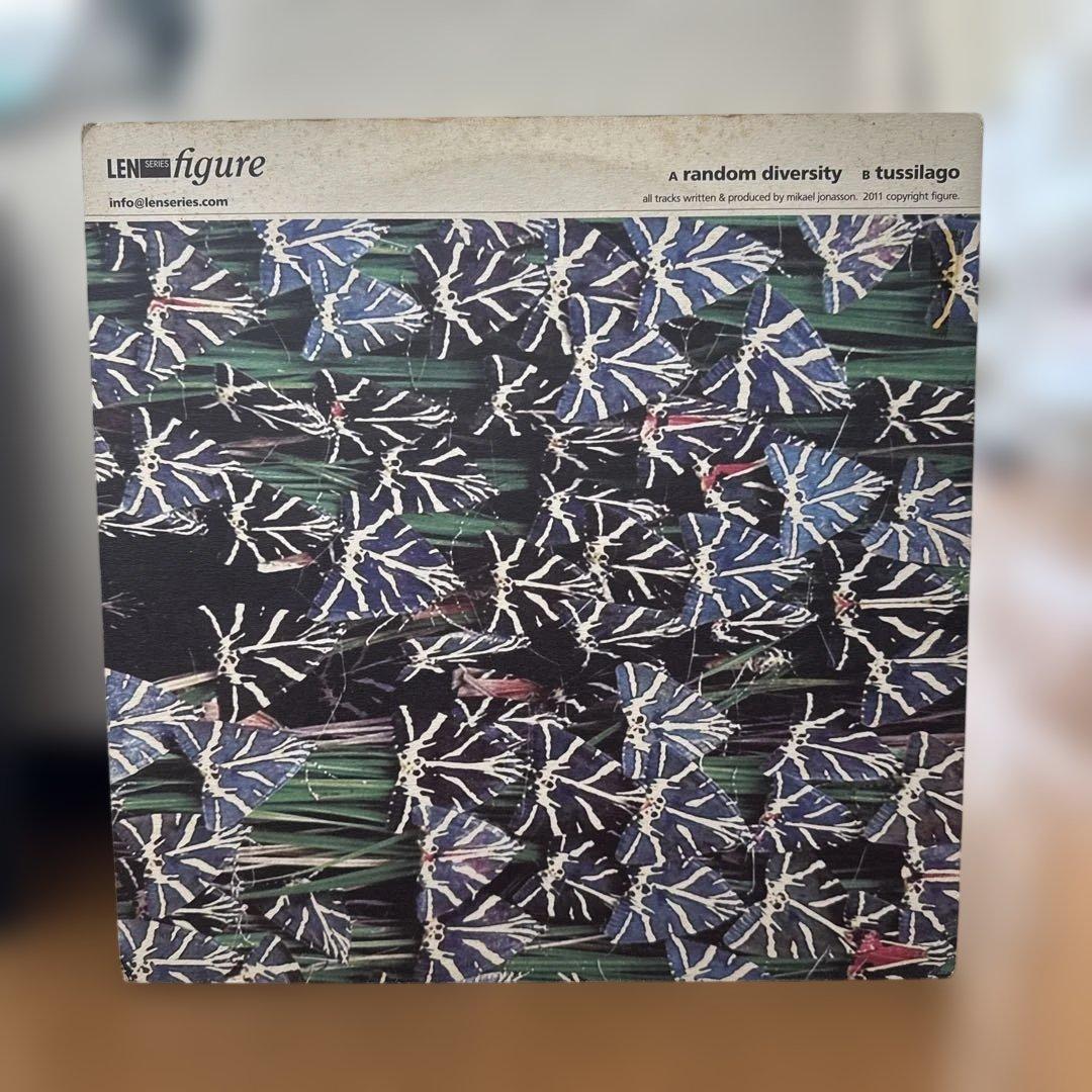 【レコード】テクノ・ハウス 30枚セット（Ken Ishiiサイン入り他）
