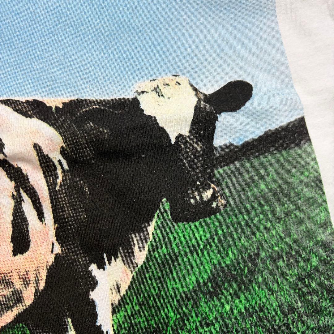 PINK FLOYD ATOM HEART MOTHER ピンクフロイドTシャツ