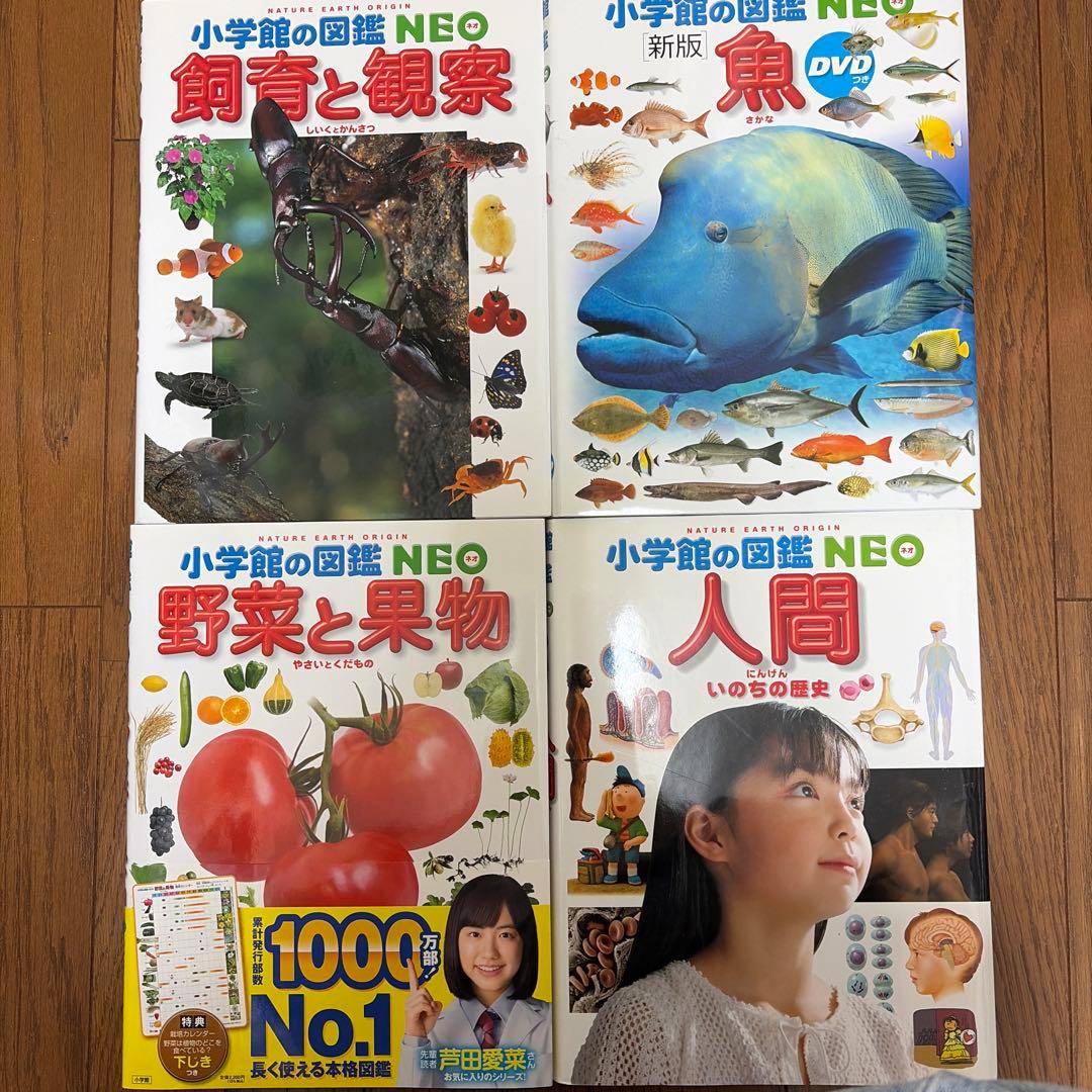 小学館の図鑑11冊セット