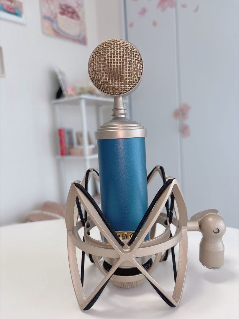BLUE BlueBird SL コンデンサーマイク ショックマウント付き