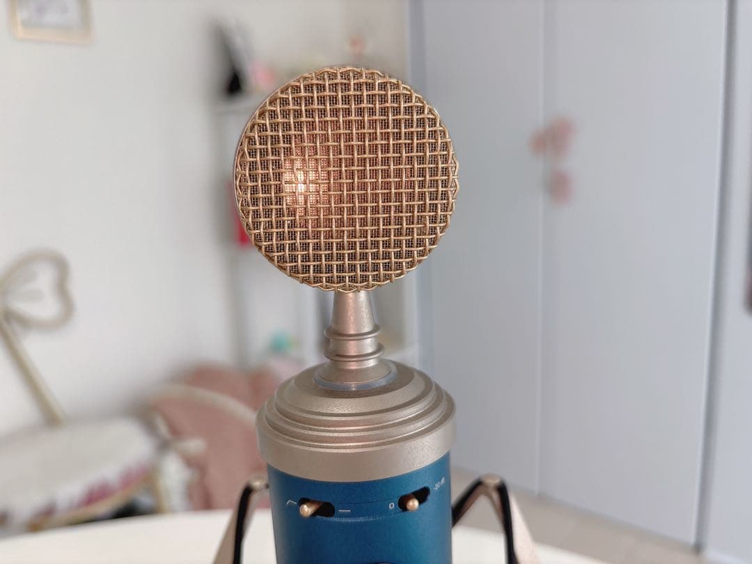 BLUE BlueBird SL コンデンサーマイク ショックマウント付き