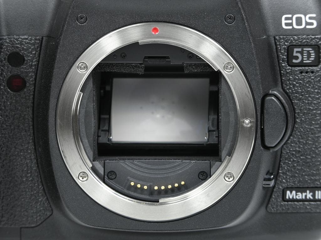 【美品】Canon EOS 5D Mark II ボディ《ショット数5050》