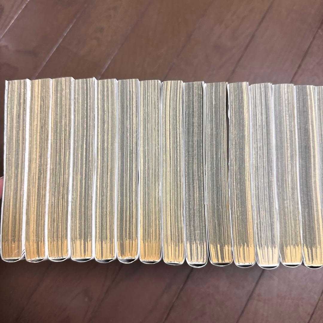ちるらん 新撰組鎮魂歌 バラ19冊