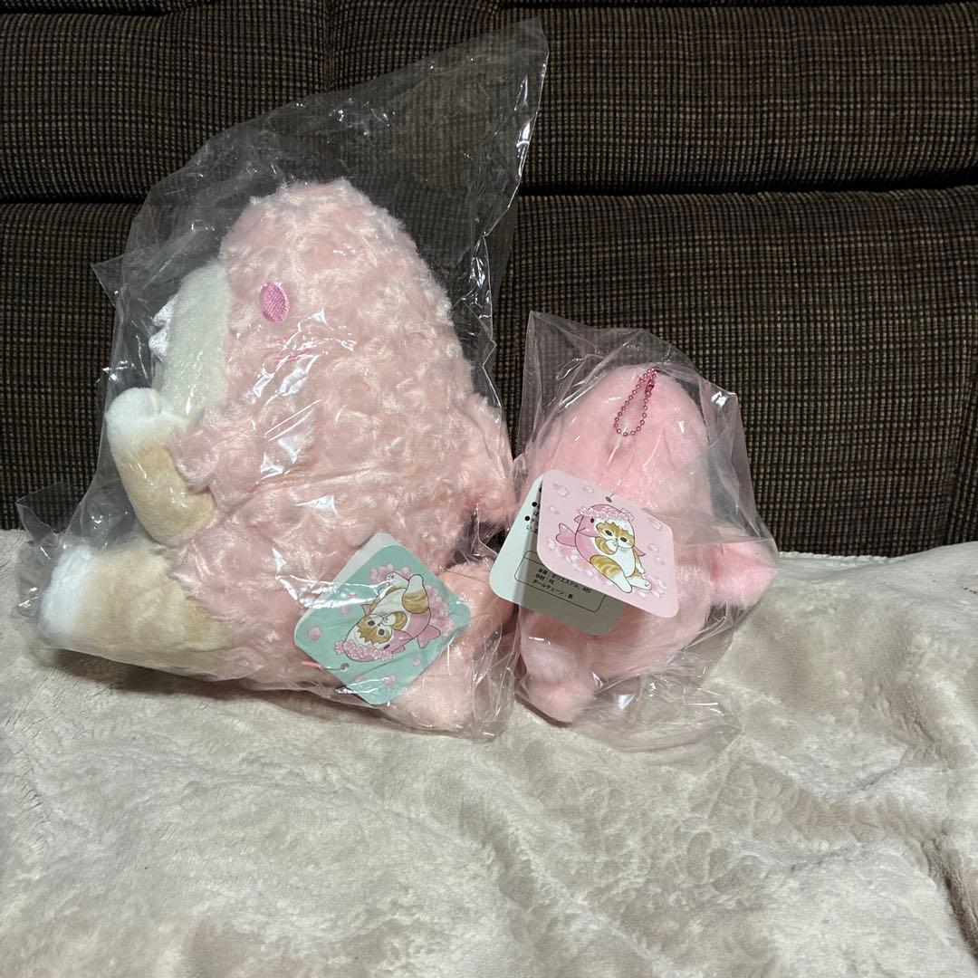 モフサンド　桜サメにゃんセット　新品未開封