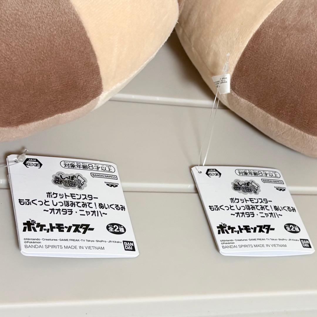 【即日発送！圧縮なし】 オオタチ ぬいぐるみ 5体セット おまとめ