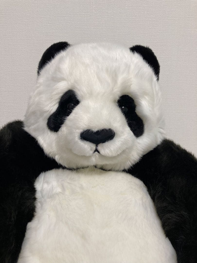 抱っこシャンシャン