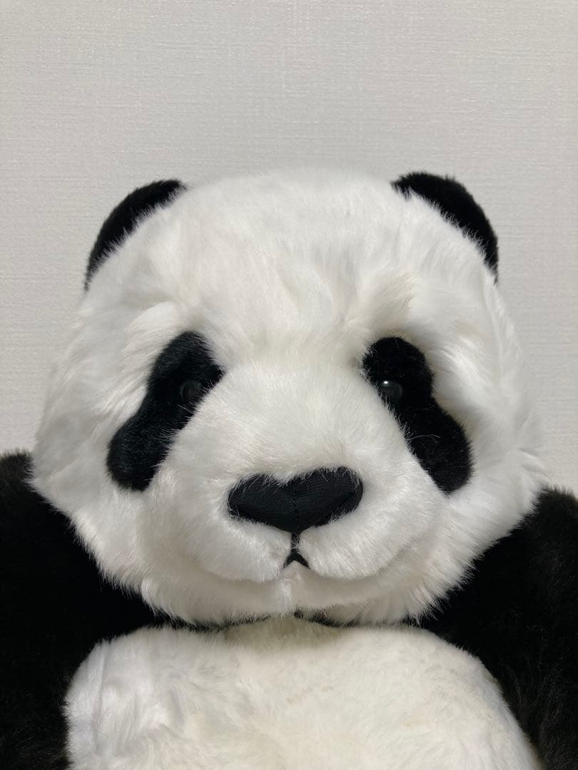 抱っこシャンシャン