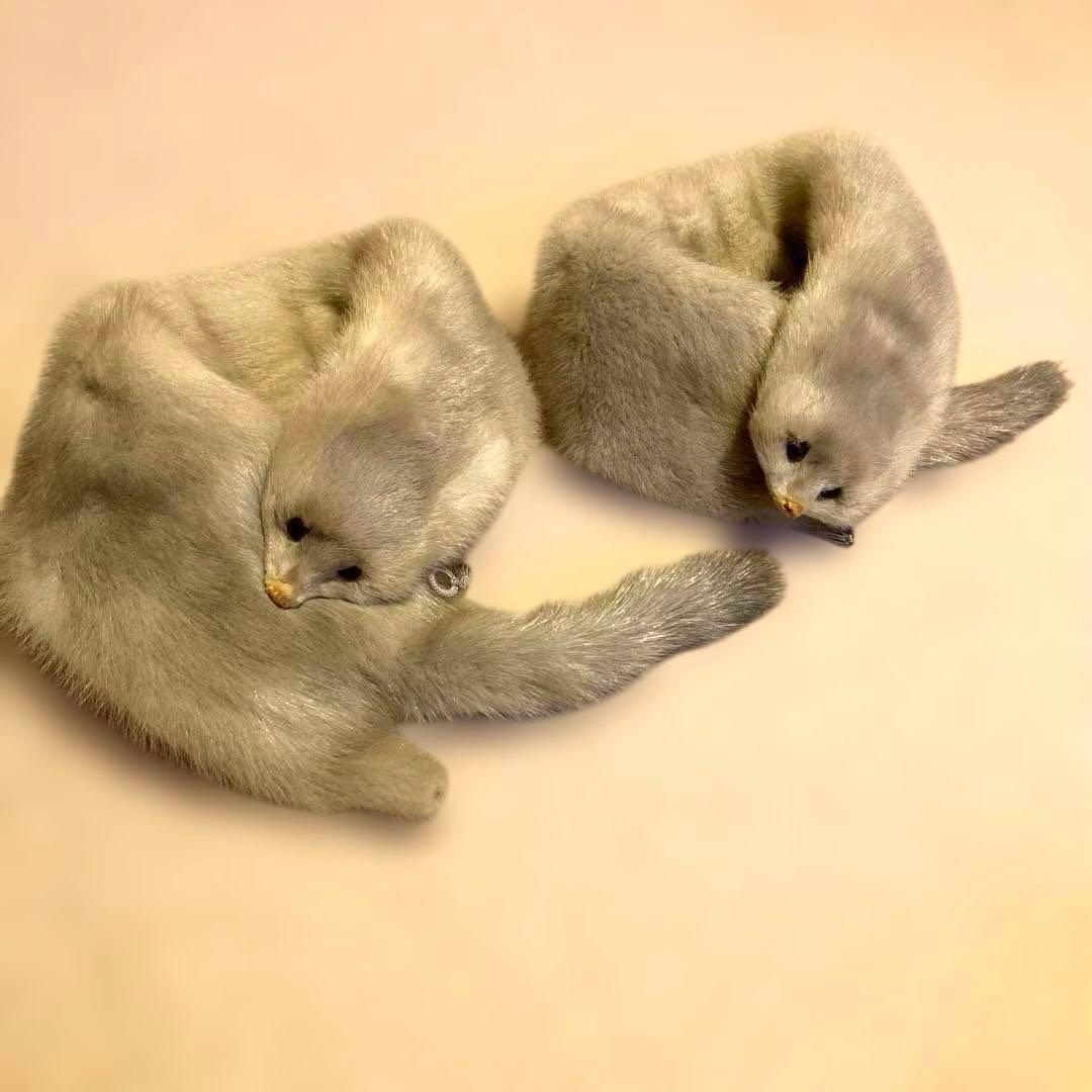 リアルファー☆毛皮マフラー フォックス☆