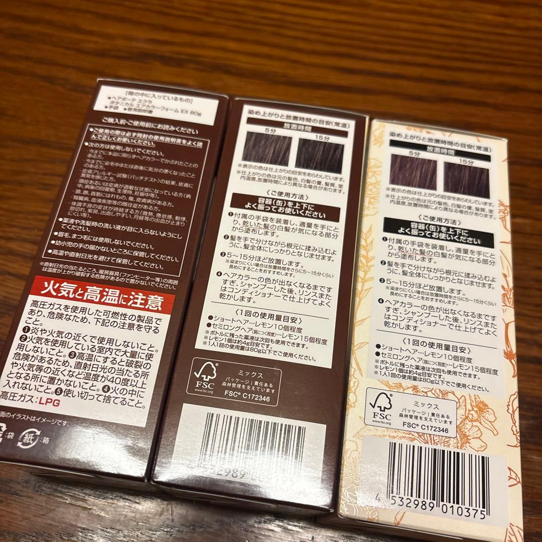 ヘアボーテ エクラ ボタニカル エアカラーフォーム EX ダークブラウン 80g