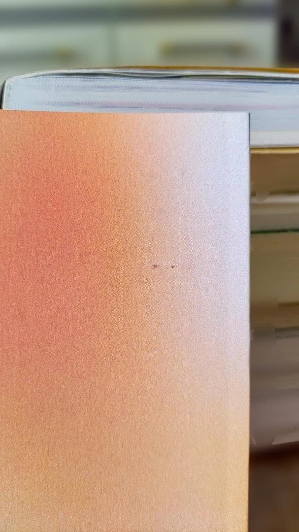 【最終お値下げ】朝が来るまで 和泉琴華