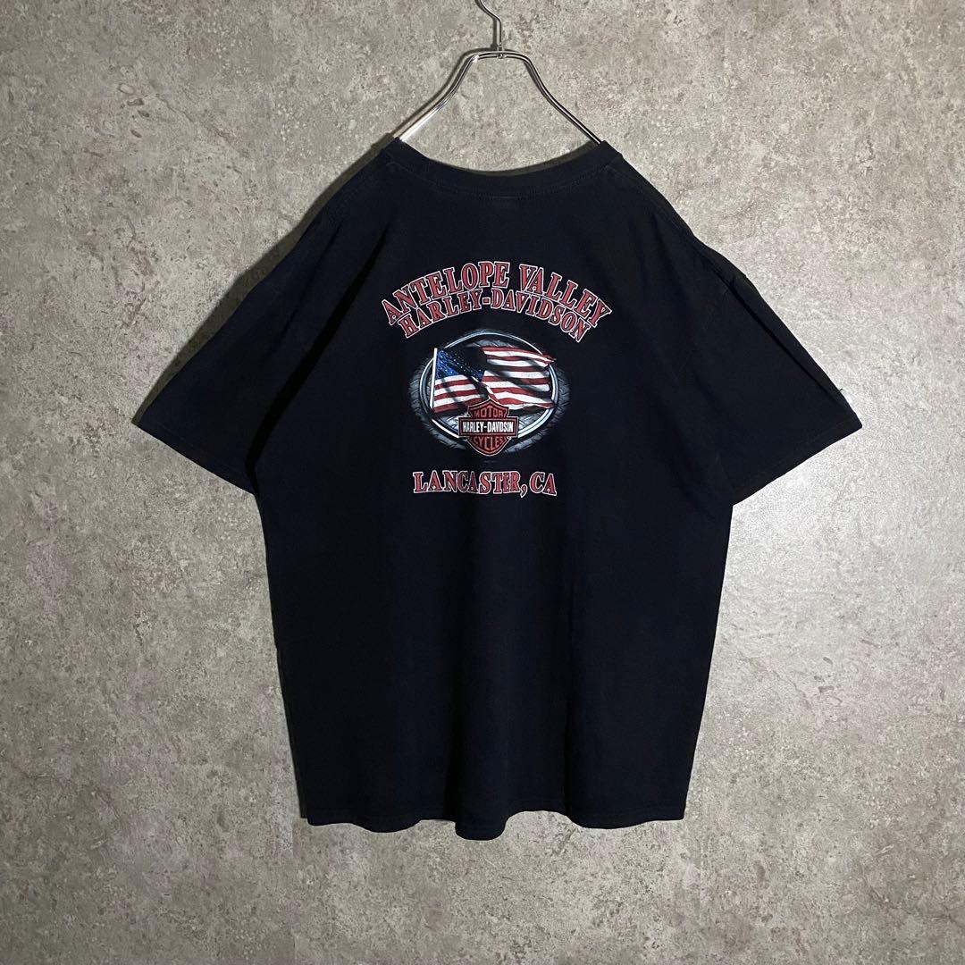 【希少】ハーレーダビッドソンTシャツ 2011年製 バイクガール アメリカ XL