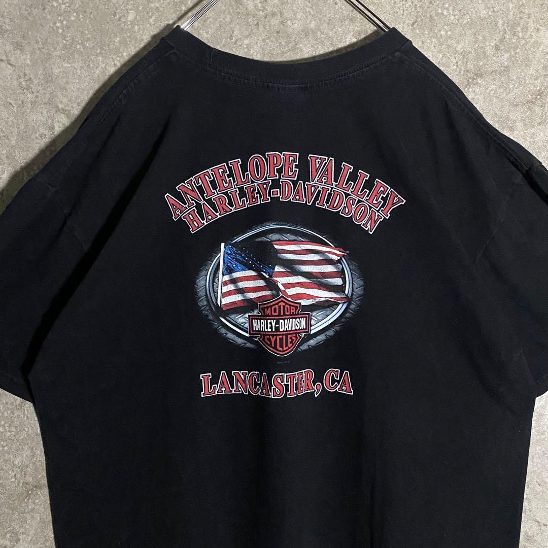 【希少】ハーレーダビッドソンTシャツ 2011年製 バイクガール アメリカ XL