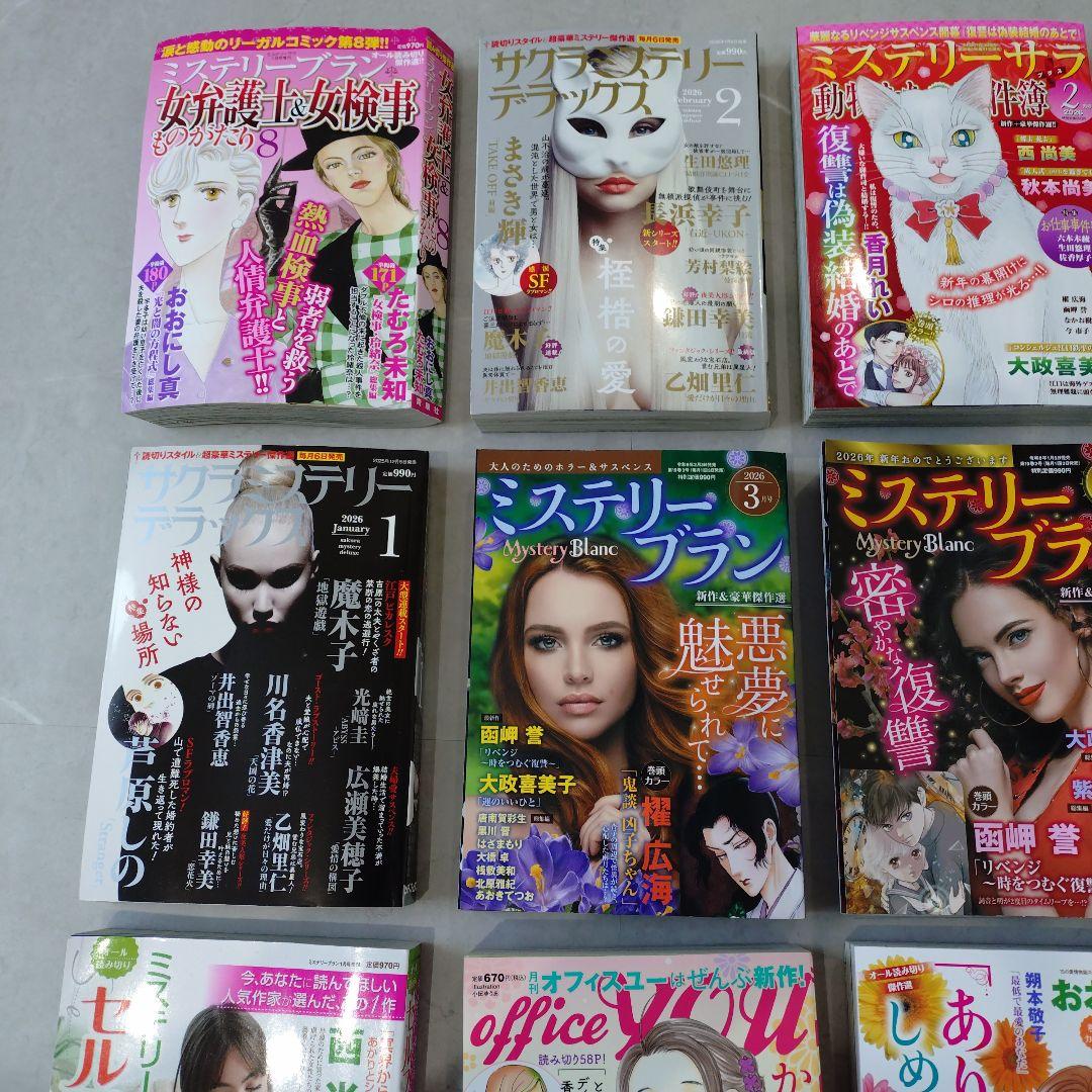 レディースコミック17冊　　②