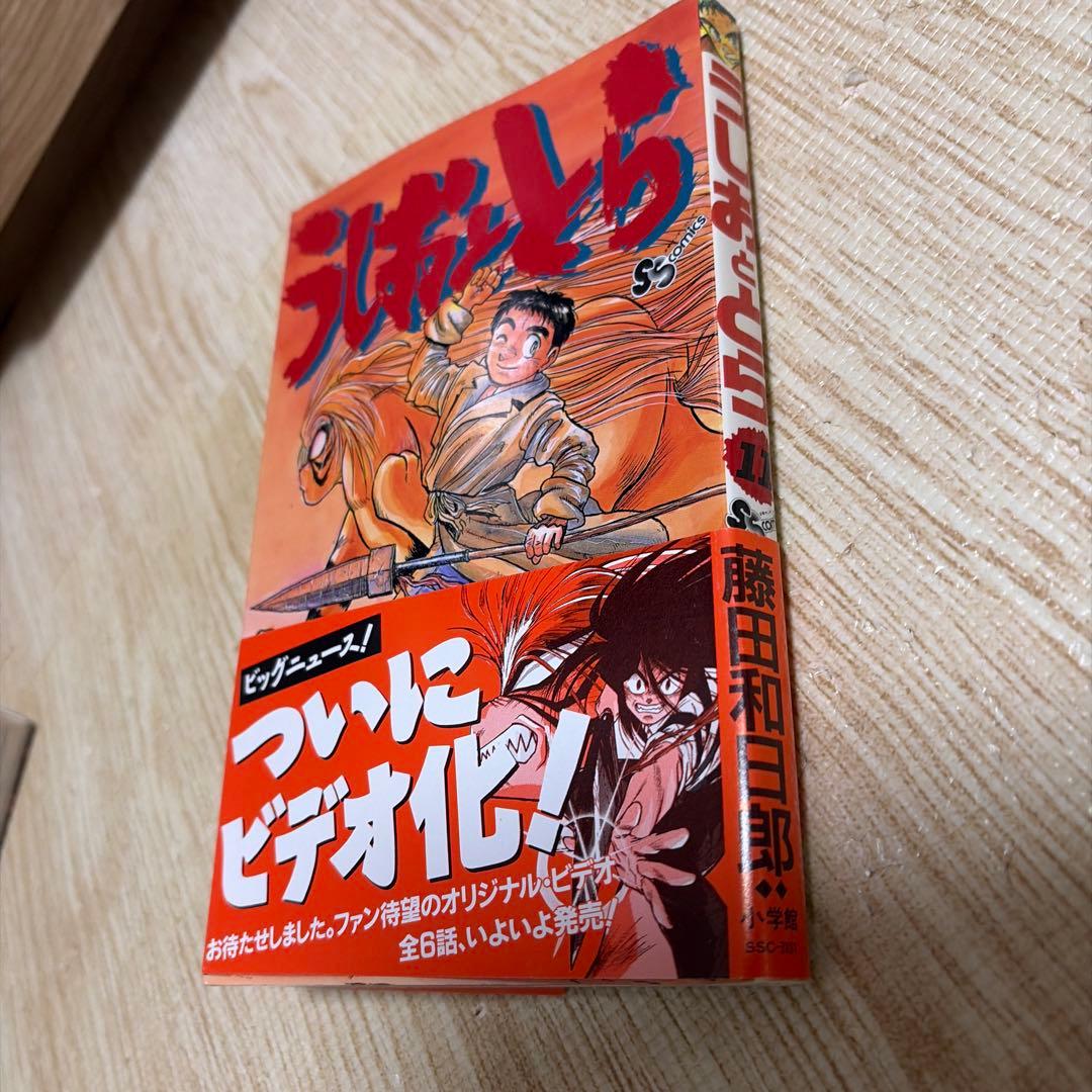 【全巻セット】うしおととら 1〜33 巻