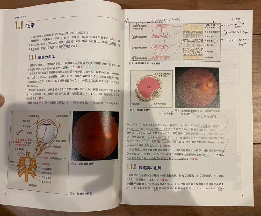 最新 網膜循環疾患コンプリートガイド 第6版