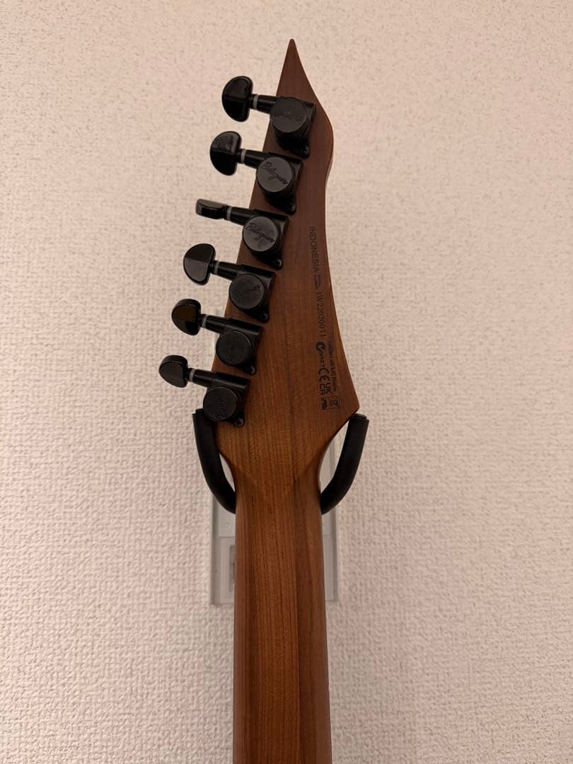 【専用出品】Balaguer Guitars Diablo Standard