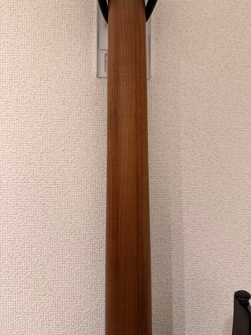 【専用出品】Balaguer Guitars Diablo Standard