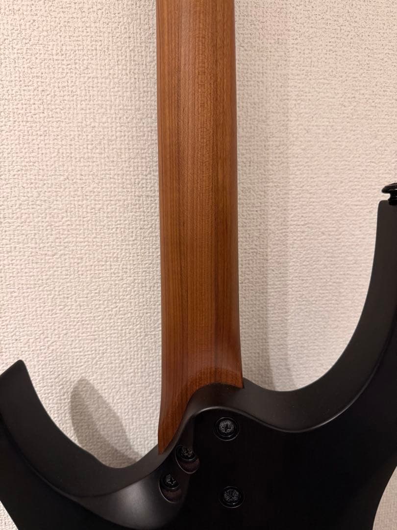 【専用出品】Balaguer Guitars Diablo Standard