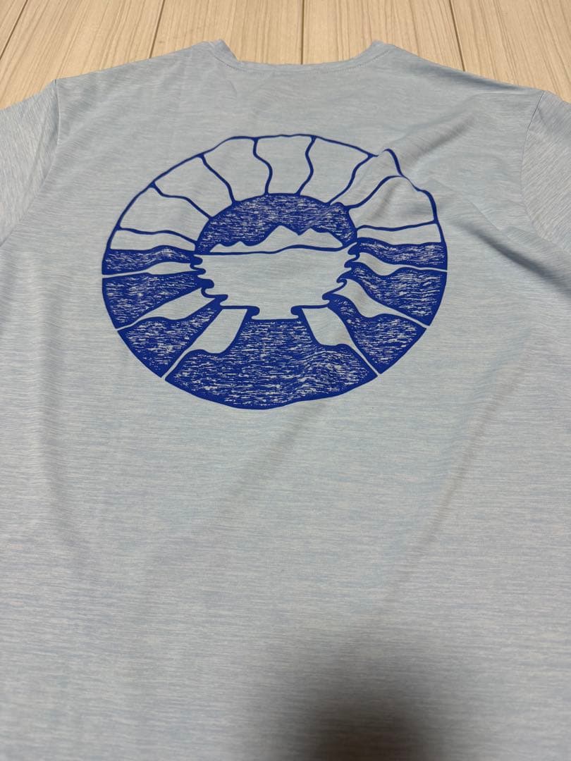 patagonia キャプリーン デイリー M