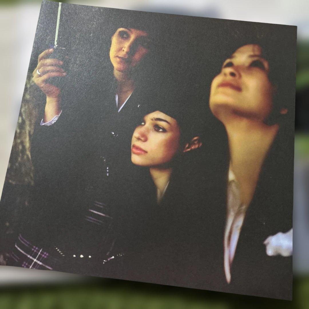 Belle & Sebastian Life Pursuit レコード ベルセバ