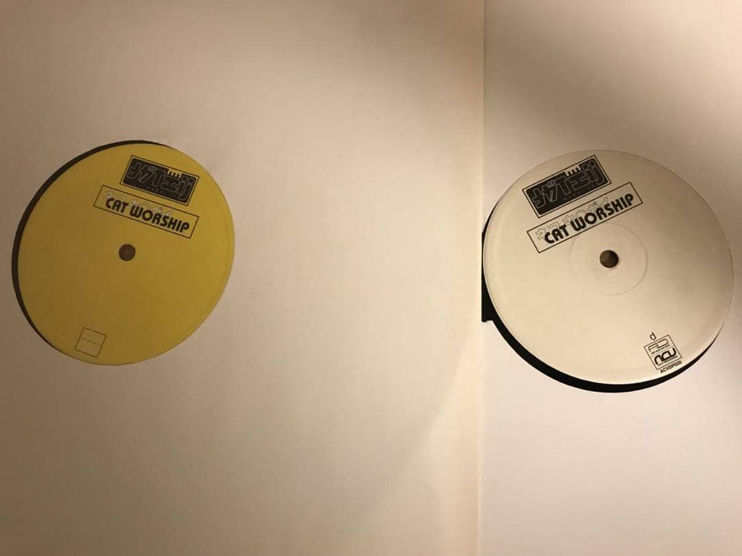 Nagai Eri - Cat Worship (12”x2) ナガイエリ