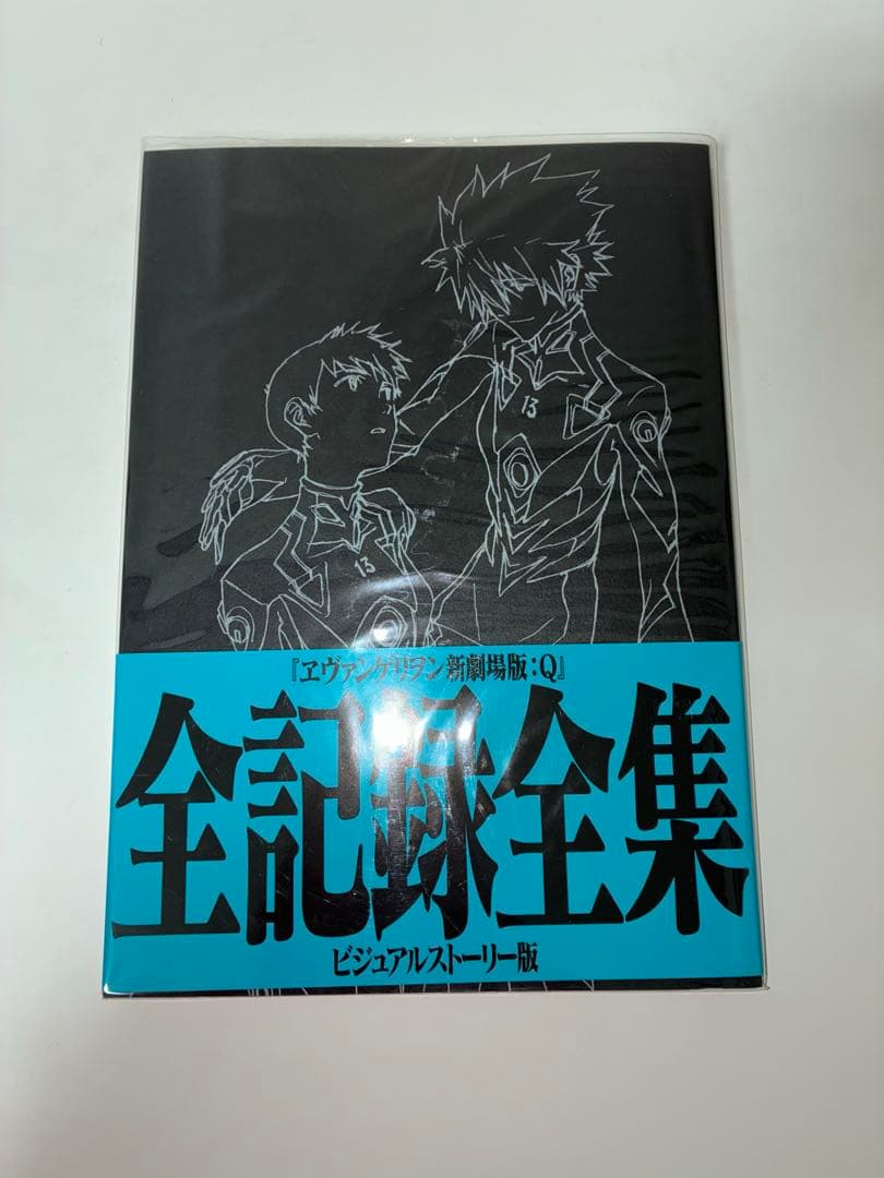 ヱヴァンゲリヲン新劇場版 全記録全集 / 画コンテ集 / 原画集 他