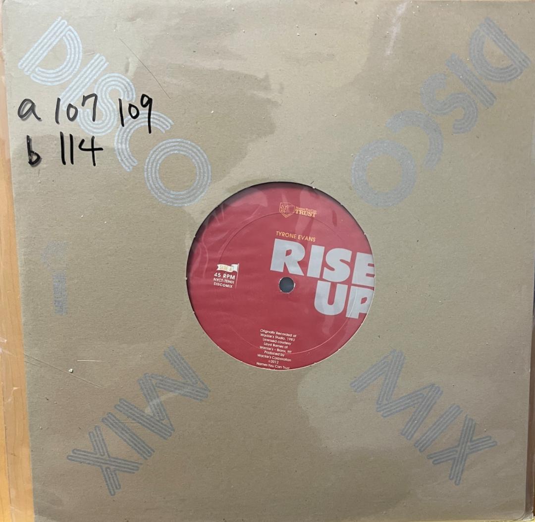 洋楽 10\" Tyrone Evans / Rise Up