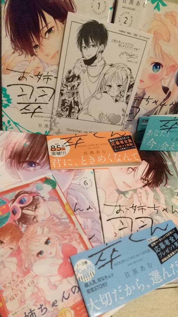 お姉ちゃんの翠くん 1-10 全巻 二口配送 即購入❌特典付き マーガレット