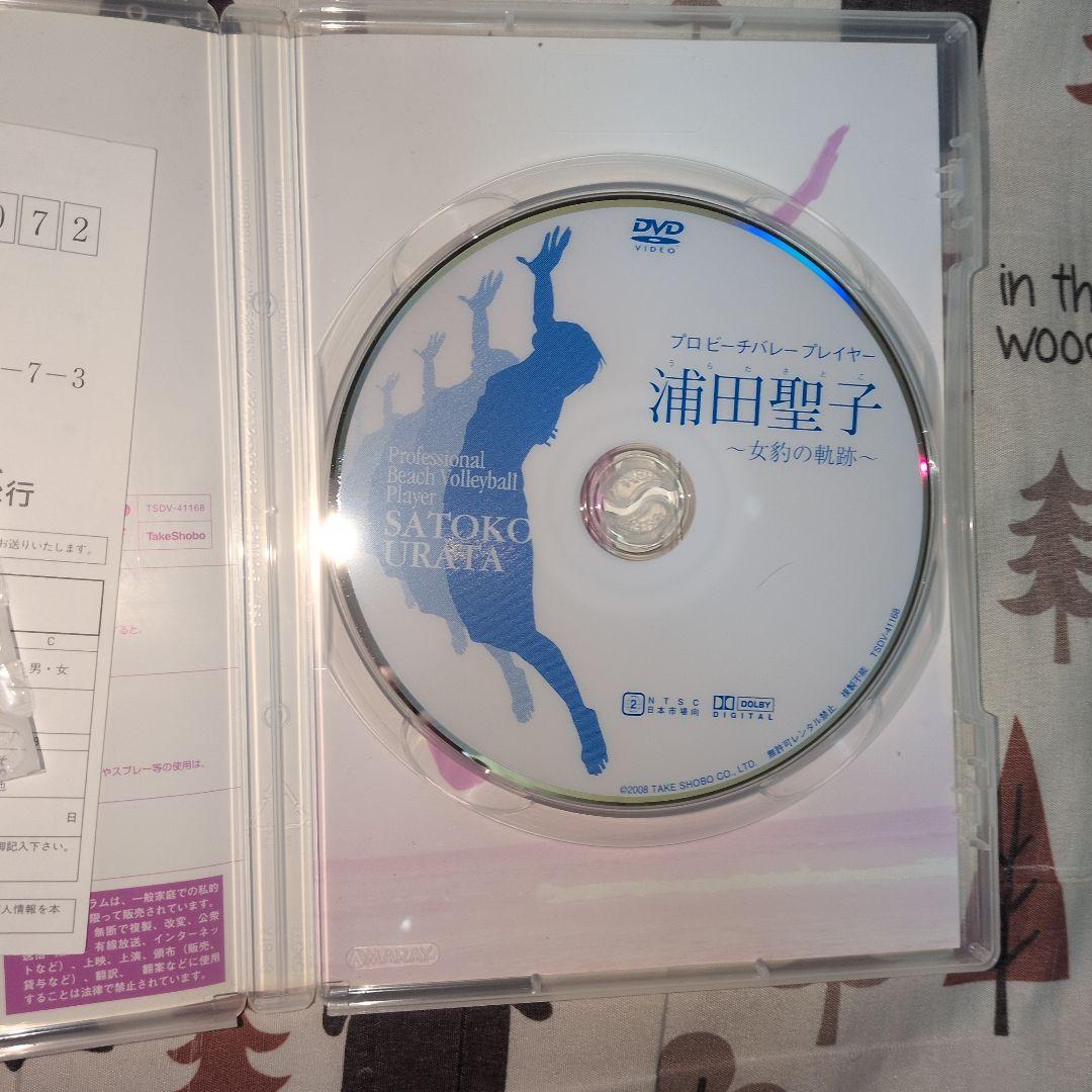 浦田聖子　ビーチバレー　DVD　ビキニ　ハイレグ　ビーチの女豹　腹筋美女