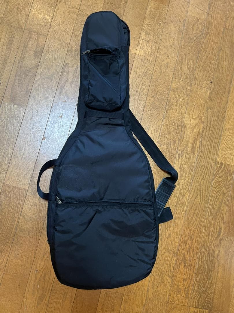 ギター PARKER P-38