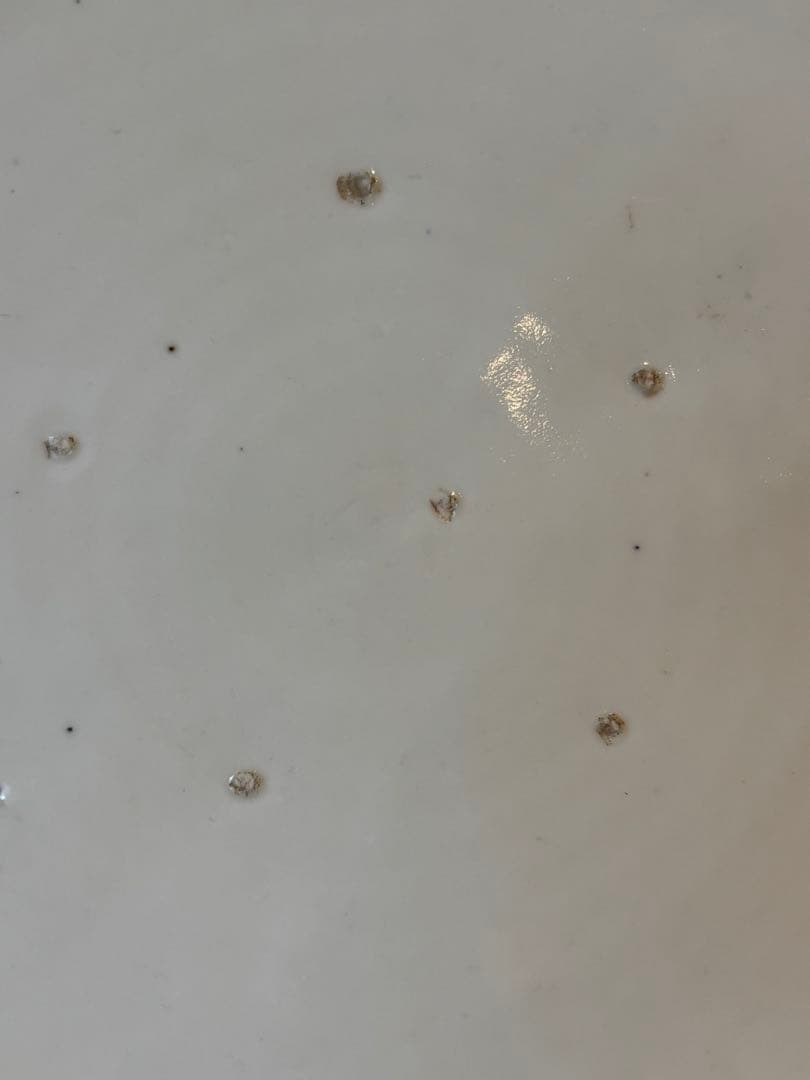 大人気　45.5cm 有田焼　古伊万里　江戸後期　大皿手描き　飾皿　色絵皿　大皿
