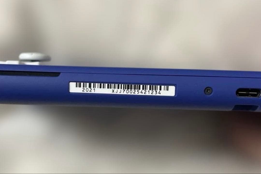 Switchライト　Switch Nintendo Lite ブルー　本体