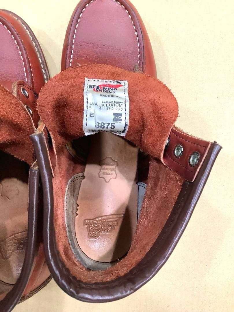 REDWING 8875 アイリッシュセッター　US5E 23cm