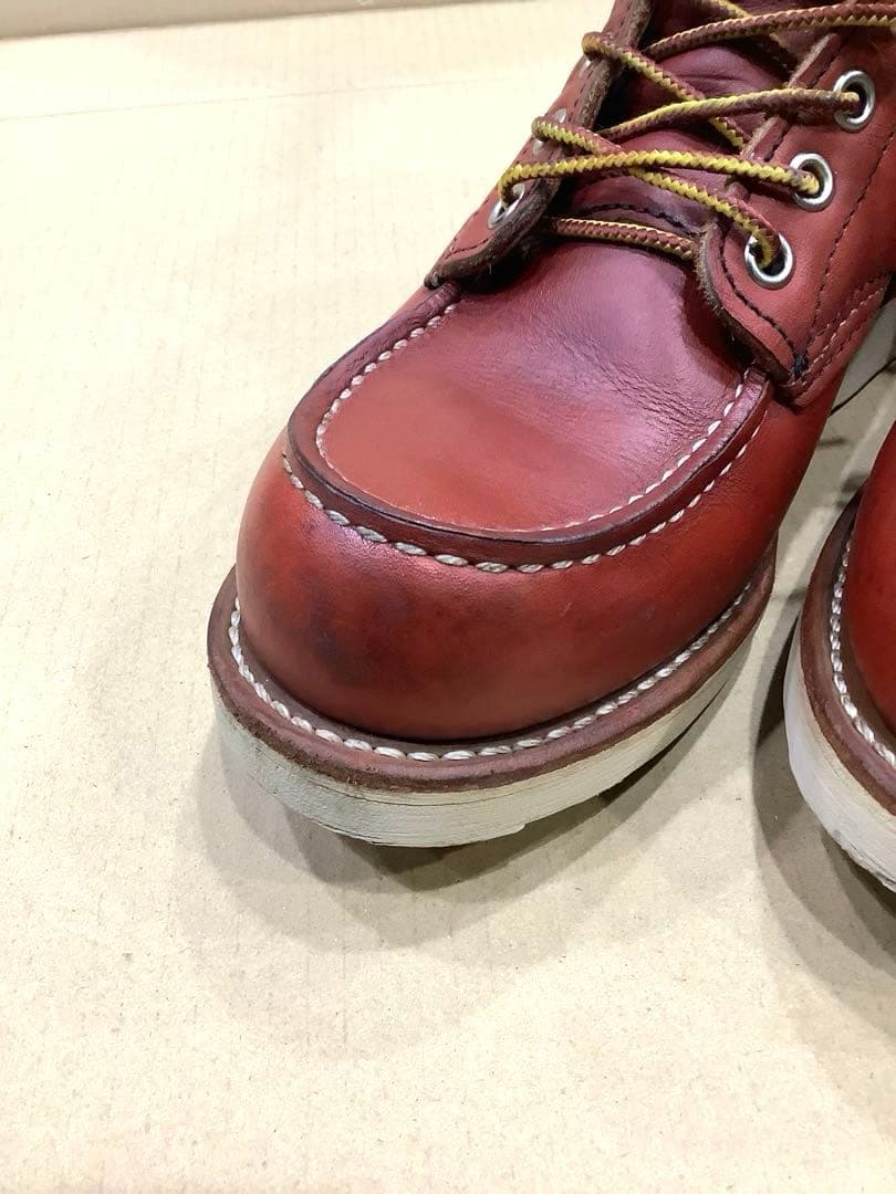 REDWING 8875 アイリッシュセッター　US5E 23cm