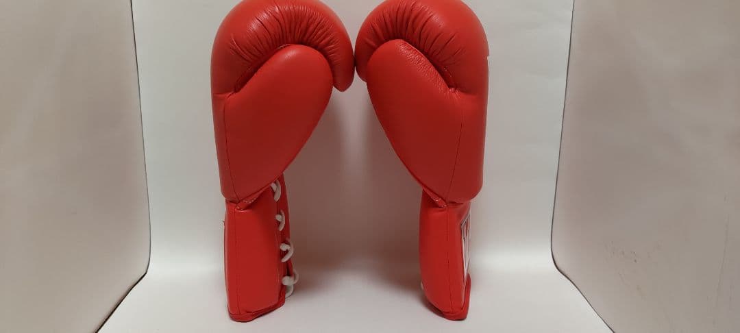 TITLE BOXING スパーリンググローブ 16オンス 赤 紐式