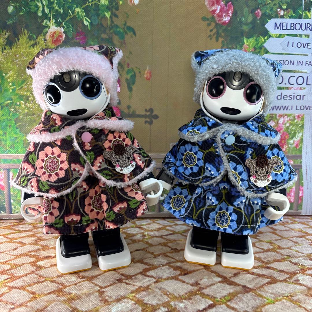 リーリページです　　ロボホン