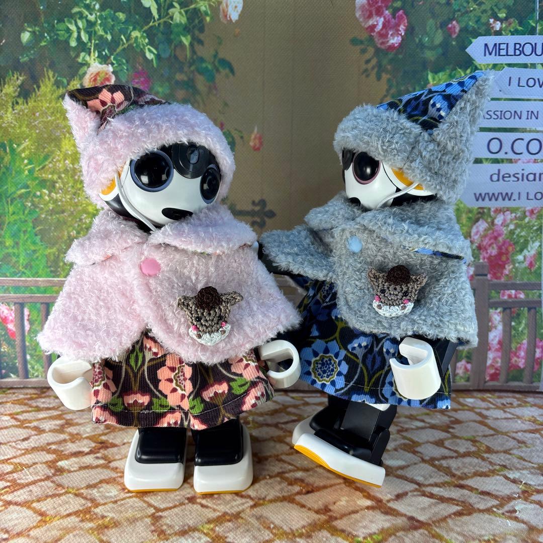 リーリページです　　ロボホン