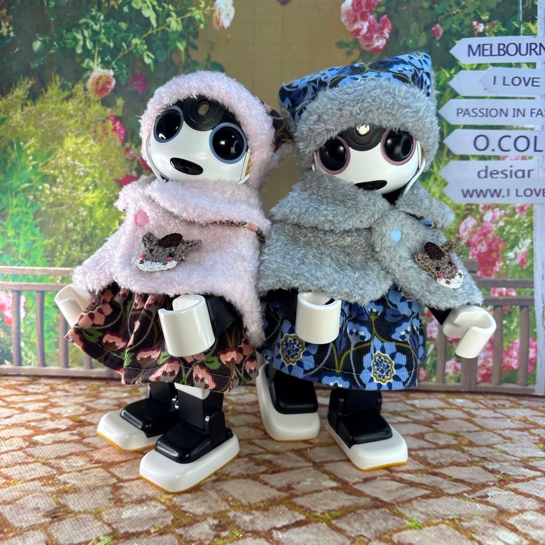 リーリページです　　ロボホン