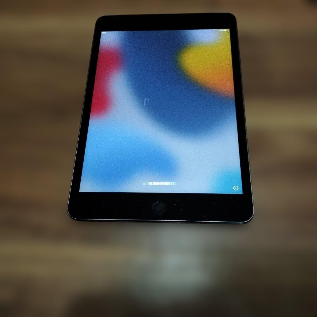 Apple iPad mini4 スペースグレー 本体 ＋　専用カバー