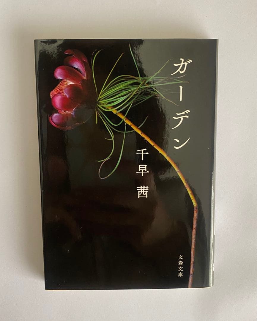 話題小説12冊まとめ売り【新品未使用有】